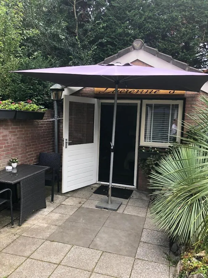 Romantisch Tiny Gardenhouse In Beautiful Garden Zandvoort